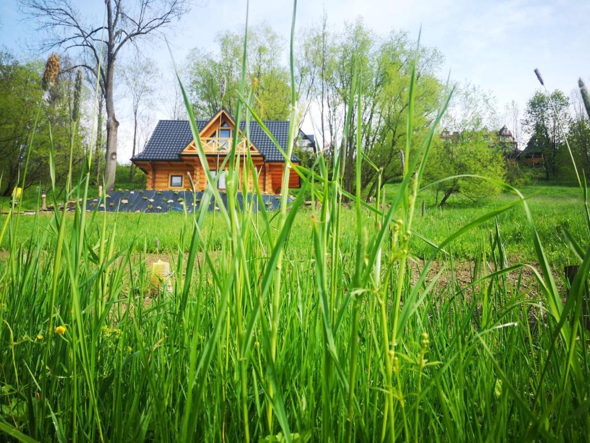 Kukulisko, Wakacje 2025, Wolne Terminy, Zadzwon Bukowina Tatrzanska Bagian luar foto