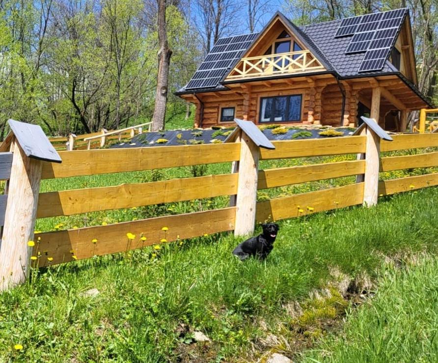Kukulisko, Wakacje 2025, Wolne Terminy, Zadzwon Bukowina Tatrzanska Bagian luar foto